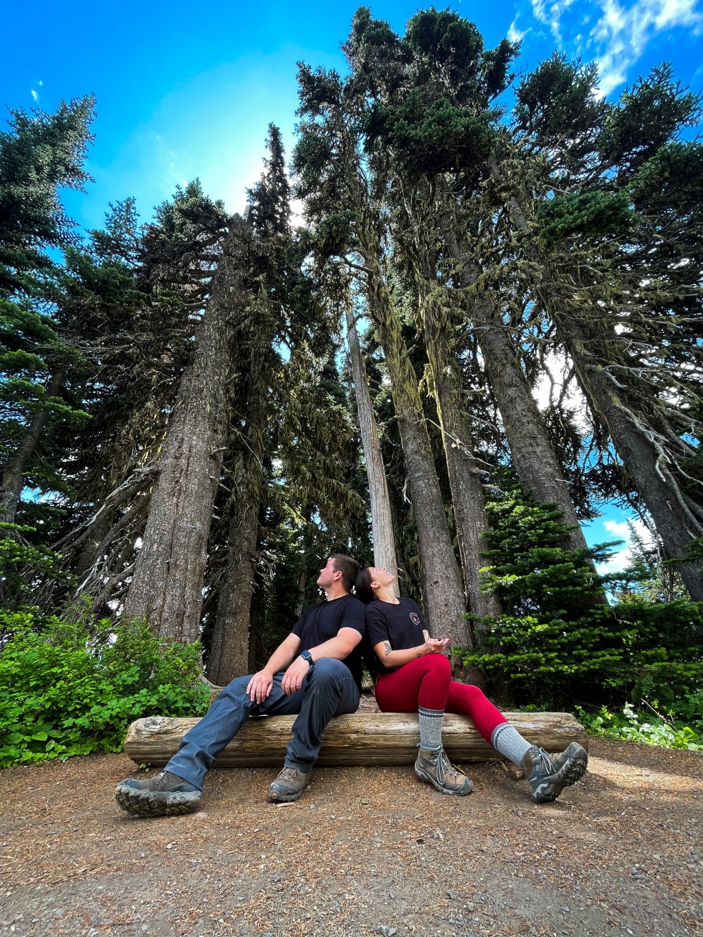 Mount Rainier National&nbsp;Park