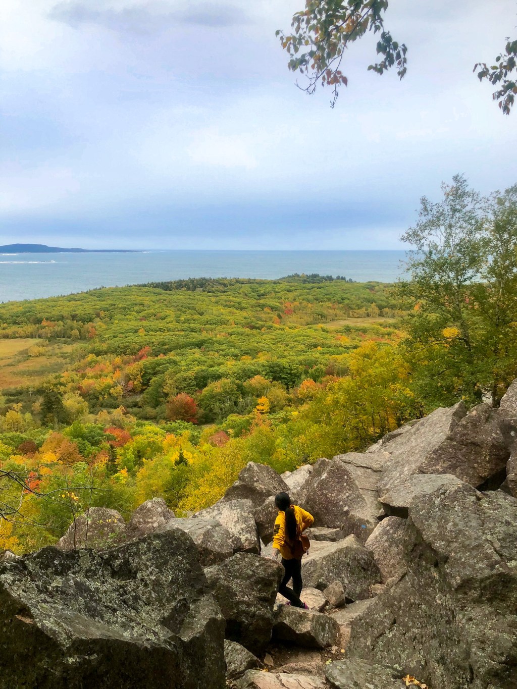 Bar Harbor Bliss: A Main(e)&nbsp;Attraction