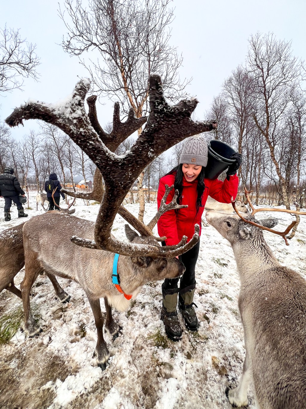 Tromsø Travels: A Nordic&nbsp;Notebook